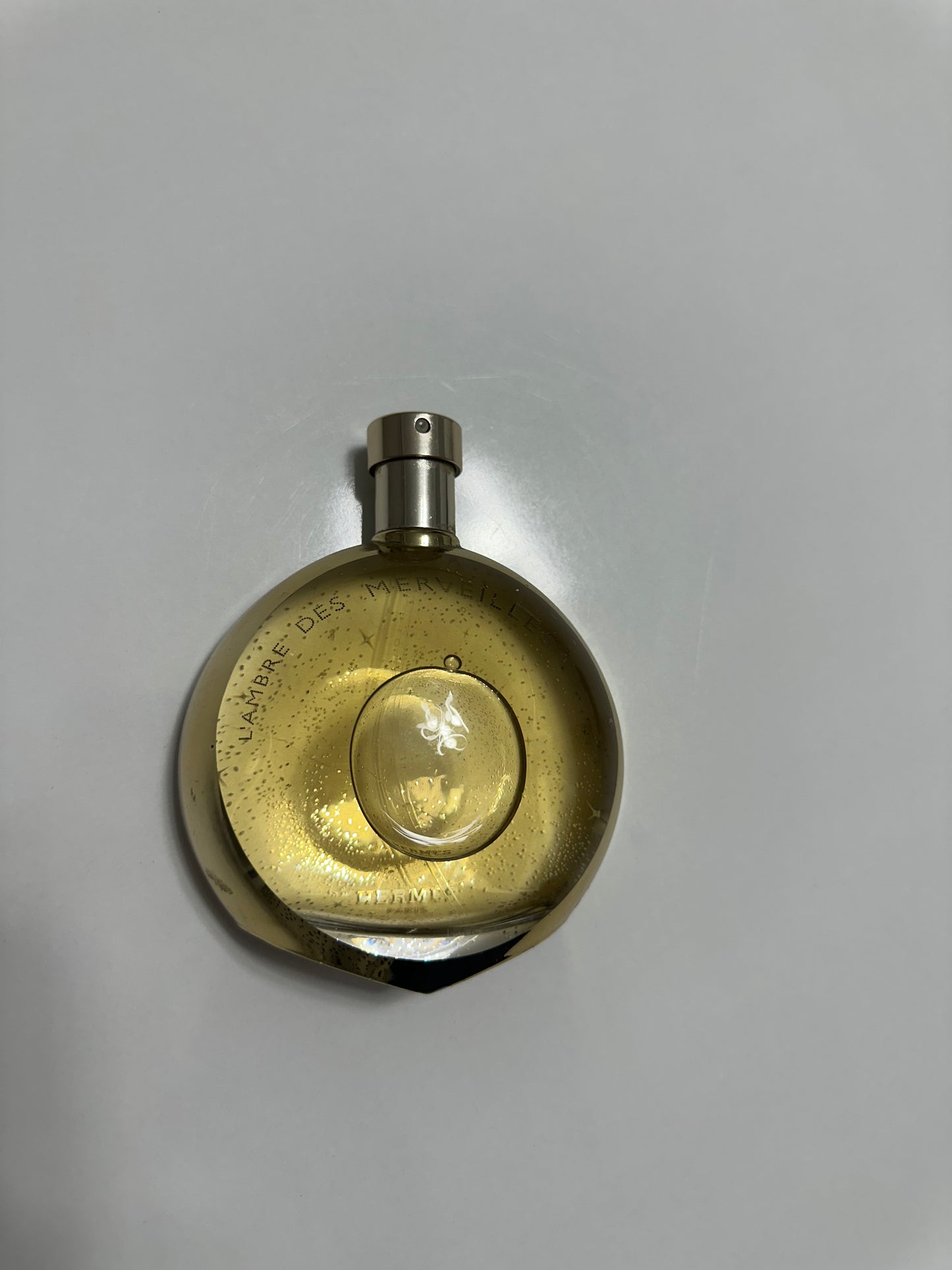 Hermès Eau des Merveilles EDP 100ml